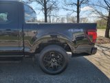 New 2025 Ford F150 STX w/ STX Black Appearance Package image 5