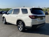 New 2025 Honda Pilot EX-L image 3