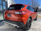 Used 2020 Ford Escape Titanium image 5
