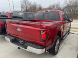 New 2025 Ford F150 XLT w/ Equipment Group 302A MID image 3