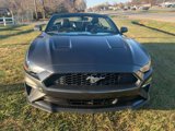 Used 2020 Ford Mustang Premium image 2