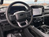 New 2025 Ford F150 XLT image 5