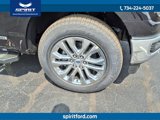 New 2025 Ford F150 XLT w/ Equipment Group 302A MID image 4
