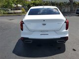 Certified 2021 Cadillac CT4 Premium Luxury w/ Climate Package image 4