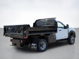 New 2025 Ford F550 4x4 Regular Cab Super Duty image 5