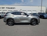 Certified 2025 Lexus NX 350h AWD w/ Premium Package image 3
