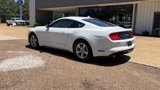 Used 2022 Ford Mustang Coupe image 4