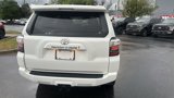 Used 2024 Toyota 4Runner SR5 Premium image 3