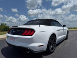 Used 2021 Ford Mustang Premium image 3