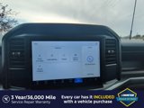 New 2025 Ford F150 STX image 4