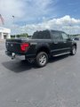 New 2024 Ford F150 XLT w/ Equipment Group 302A MID image 5