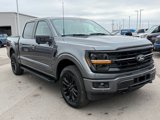 New 2025 Ford F150 XLT w/ Equipment Group 303A High image 2