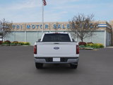 New 2024 Ford F150 XLT w/ Equipment Group 302A MID image 5