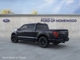 New 2025 Ford F150 STX image 4