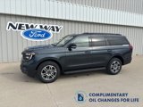 New 2025 Ford Expedition Active image 1