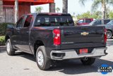 Used 2024 Chevrolet Silverado 1500 LT w/ Convenience Package II image 6