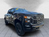 New 2025 Chevrolet Silverado 1500 Custom Trail Boss w/ Dark Appearance Package image 6