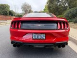 Used 2019 Ford Mustang GT Premium image 4