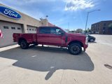 New 2025 Ford F250 Platinum image 4