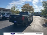 New 2025 Ford F150 STX image 5