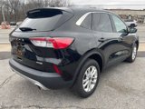 Used 2021 Ford Escape SE image 5