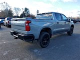 New 2025 Chevrolet Silverado 1500 Custom Trail Boss w/ Turbomax Blackout Package image 3