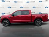 Certified 2022 Ford F150 XLT w/ Equipment Group 302A High image 5