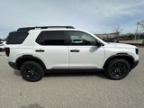 New 2026 Honda Passport RTL image 4