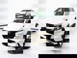 View Video