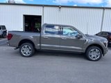 New 2025 Ford F150 Platinum image 4
