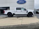 New 2025 Ford F250 4x4 Crew Cab Super Duty image 3