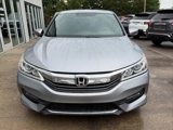 Used 2017 Honda Accord Sport Special Edition image 2