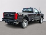 New 2025 Ford F350 XL w/ XL Off-Road Package image 4