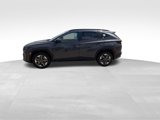 New 2025 Hyundai Tucson SEL image 4