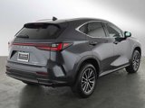 New 2025 Lexus NX 350h AWD w/ Premium Package image 3