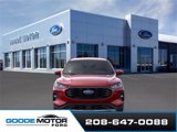 New 2025 Ford Escape ST-Line Elite w/ Tech Pack #1 image 6