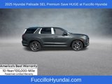 New 2025 Hyundai Palisade SEL image 5