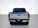 New 2025 Ford F150 XLT image 4