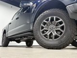 New 2025 Ford F150 Tremor image 2