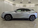 Used 2024 Lexus UX 250h AWD w/ Premium Package image 5