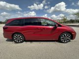 New 2025 Honda Odyssey Elite image 4