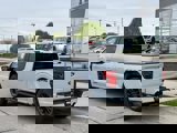 New 2025 Ford F150 XLT w/ Equipment Group 303A High image 3