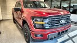 New 2025 Ford F150 XLT w/ Equipment Group 302A MID image 2