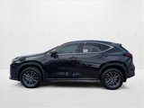 New 2026 Lexus NX 350 AWD image 5