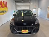 Certified 2022 Ford Escape SE image 6