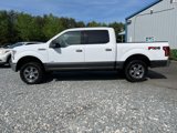 Used 2016 Ford F150 XLT w/ Equipment Group 302A Luxury image 2