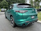New 2025 Alfa Romeo Stelvio Tributo Italiano w/ Driving Assist Package image 6