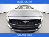 Used 2024 Ford Mustang Premium image 2