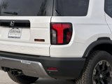 New 2026 Honda Passport TrailSport Elite image 5