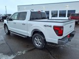 New 2025 Ford F150 XLT w/ Equipment Group 302A MID image 2